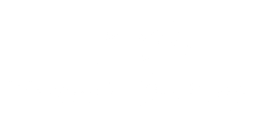 mywomensclothing